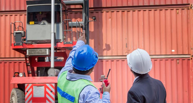 Operarios del puerto revisan los precintos de los contenedores