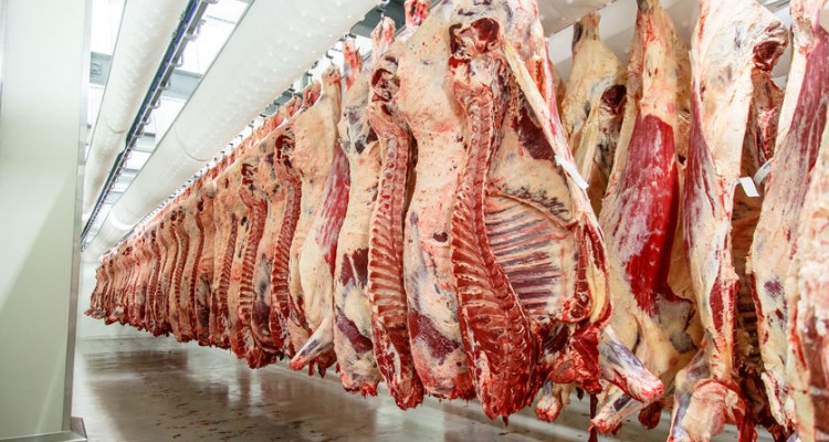 exportacion-carne